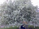 №33 Настя Мурылева 01.03.2000: профиль, фото, статус - ВКонтакте №33 Настя Мурылева 01.03.2000: профиль, фото, статус - ВКонтакте