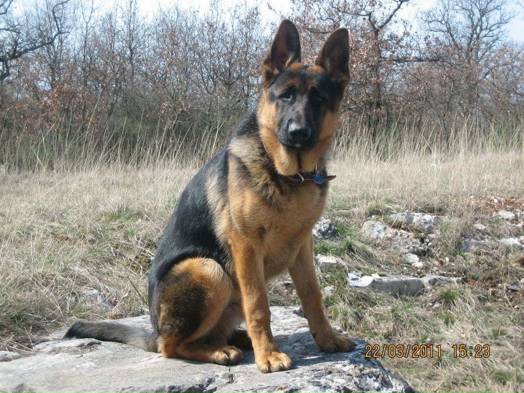 Ирина Брысова | Санкт-Петербург