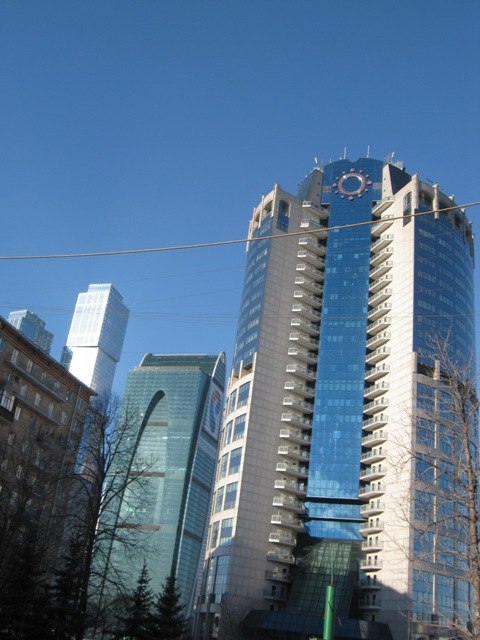 Анна Бушина | Москва