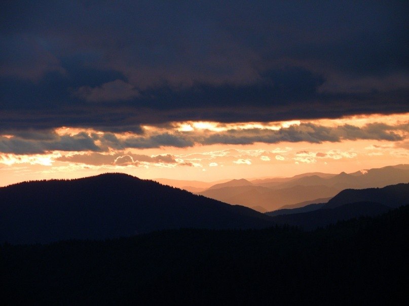 Наталія Тацишин-Войчишин | Ивано-Франковск