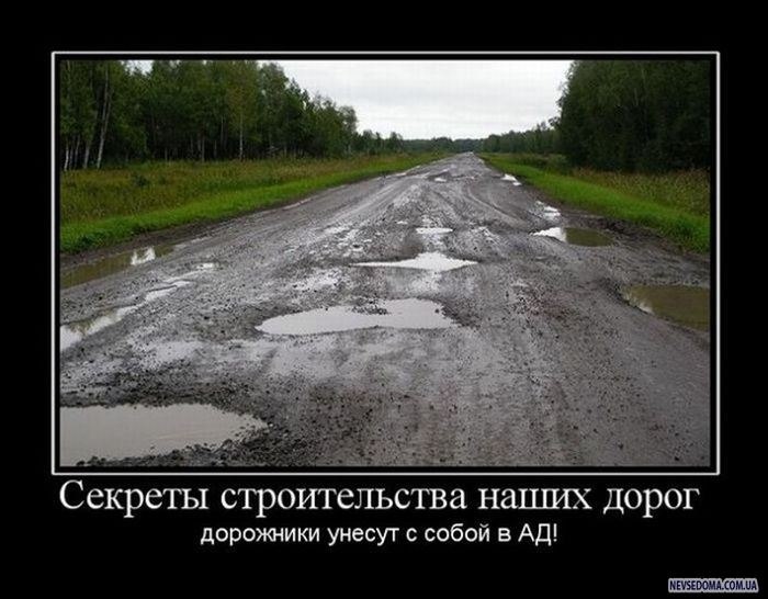 Николай Трофимов | Санкт-Петербург