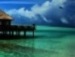 Светлана Ядреева фотография #10