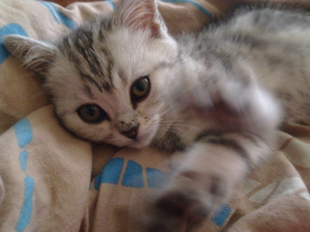 Ильдар Искандаров | Набережные Челны