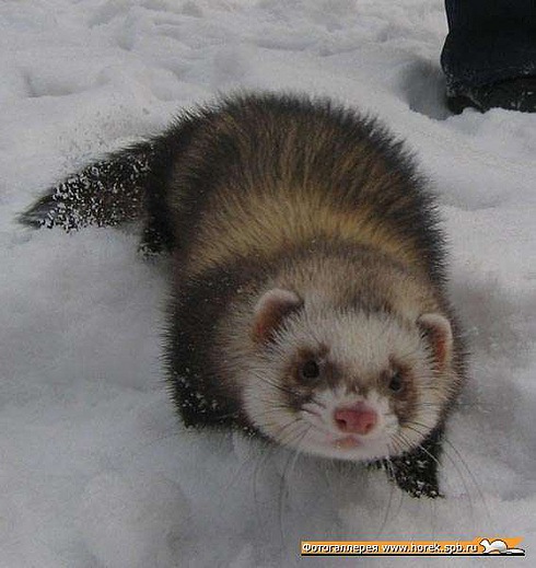 №9, Дарья, Киев №9, Дарья, Киев