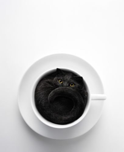 Наталья Ерыгина Юрьевна | Харьков