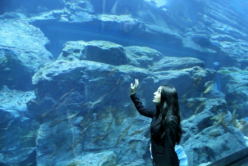 Арпик Кемечеджиева | Ростов-на-Дону