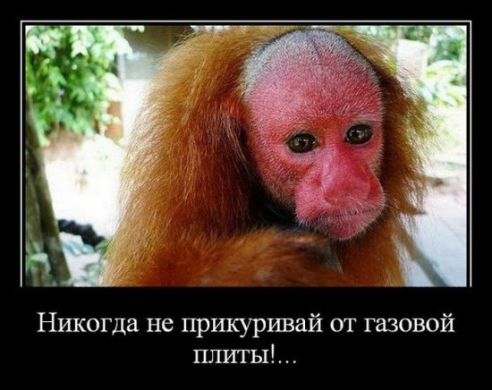 Варвара Турица | Измаил