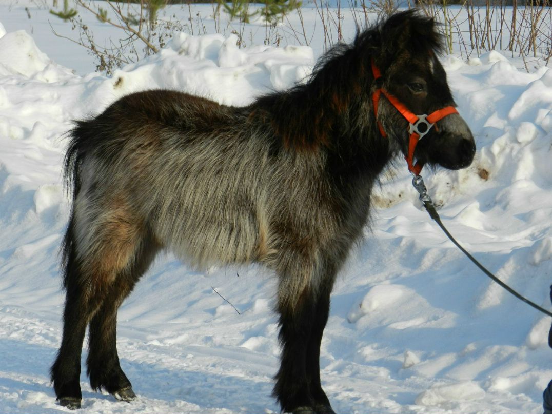 Марина Маринина | Киров