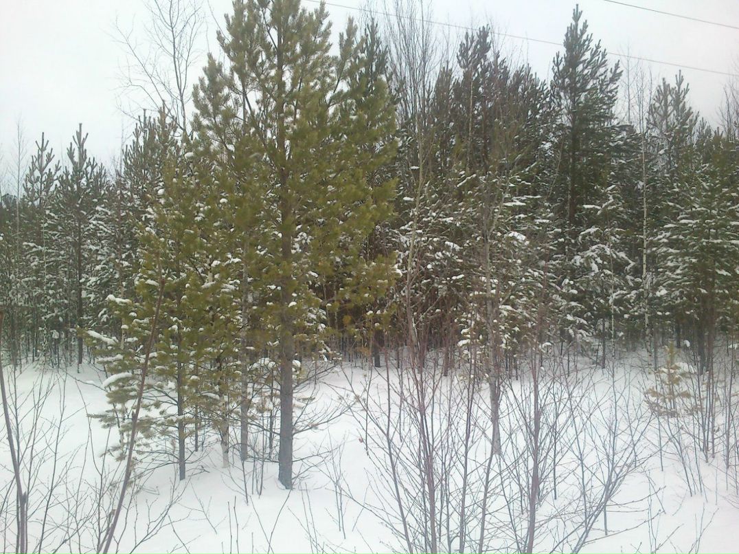 Александр Бугуртов | Стрежевой