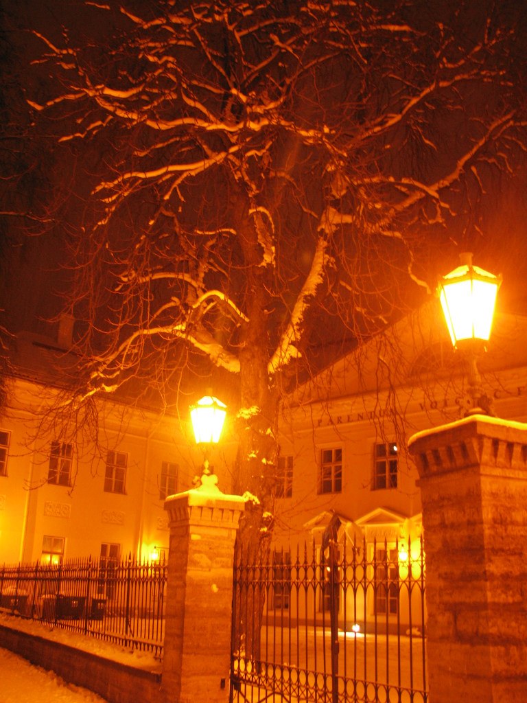 Татьяна Кулакова | Санкт-Петербург