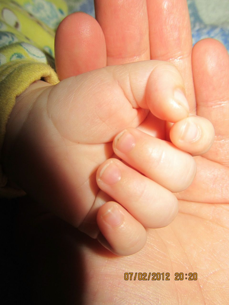 Екатерина Овсеенко(Олейник) | Тернополь