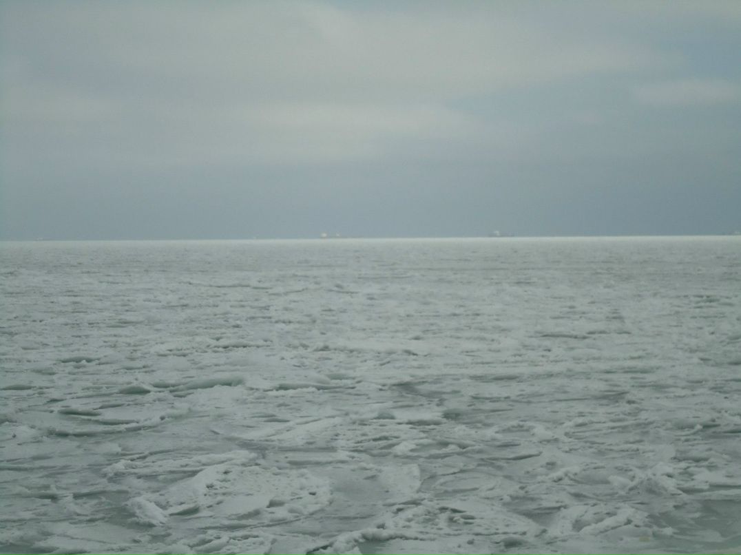 Наташа Артёменко | 