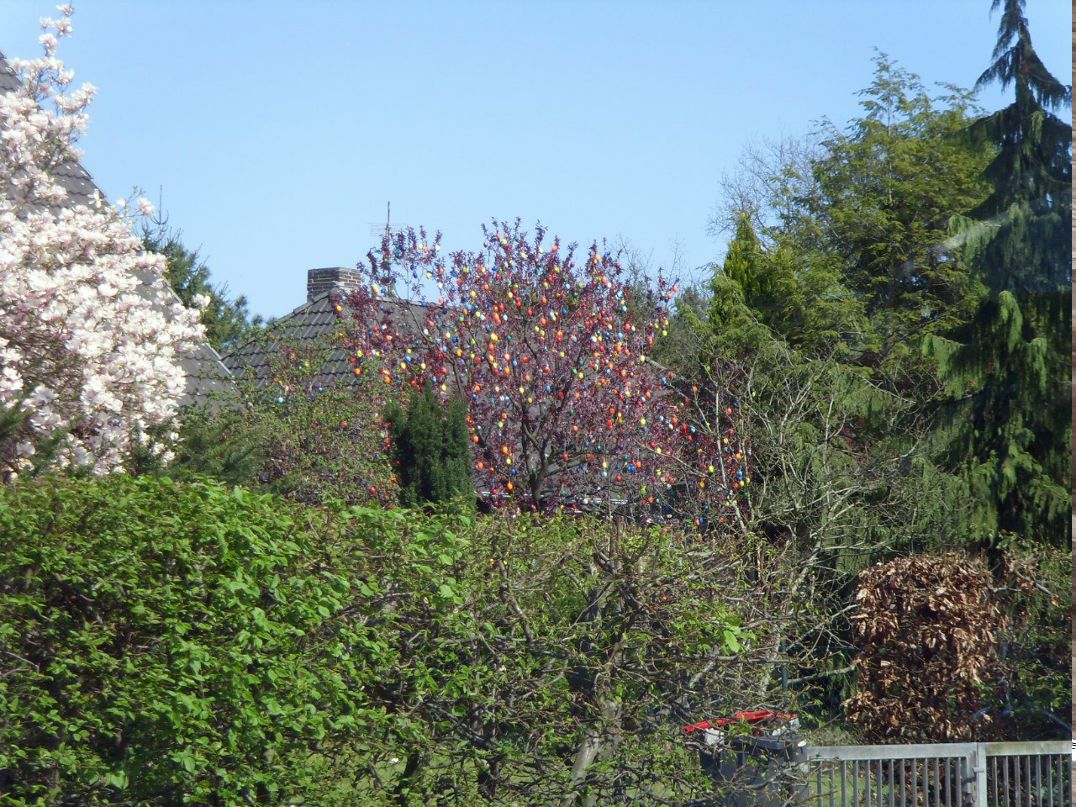 Дима Муравейко | Минск