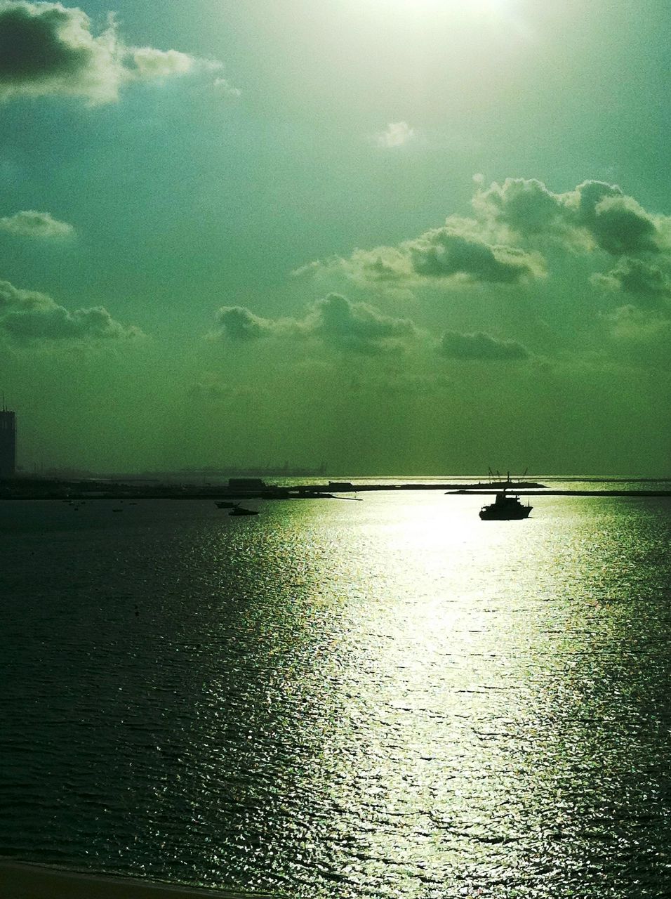 Grikun Marina | Новосибирск