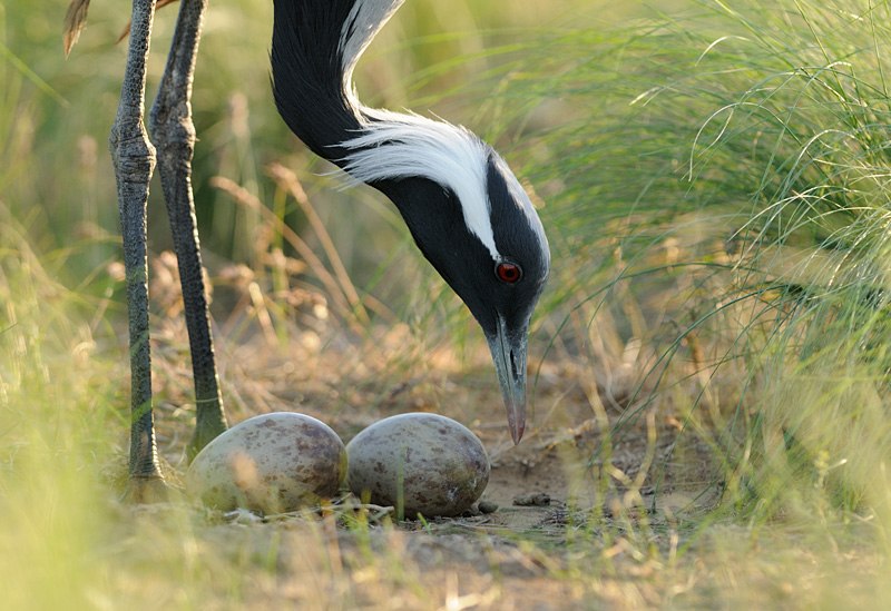 Ольга Кутявина | Выборг