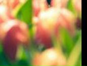 Юлия Булавинова | Харьков