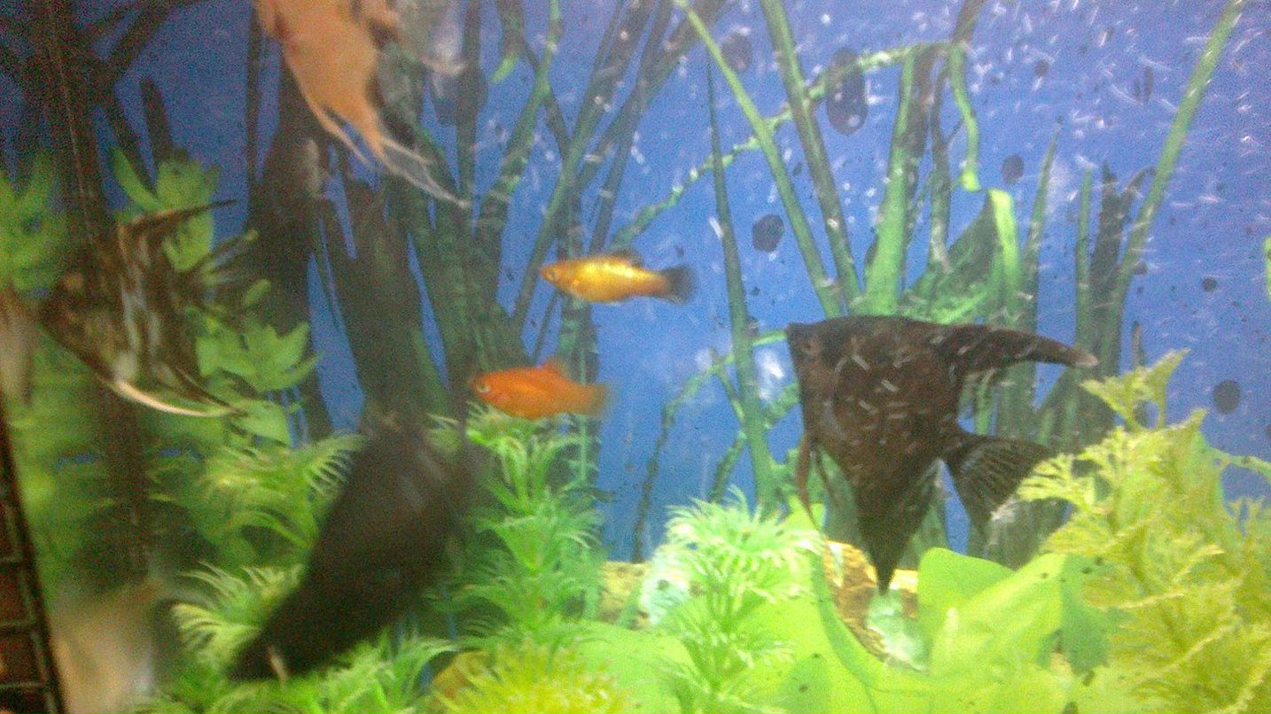 Наталья Малая | Москва