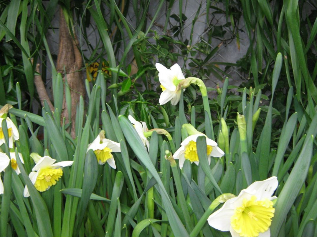 Андрей Михайлов Анатольевич | Ижевск