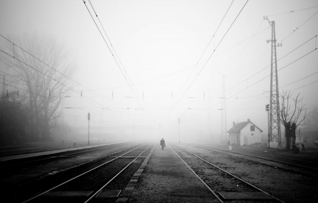 Вадим Немченко AM&GO | 