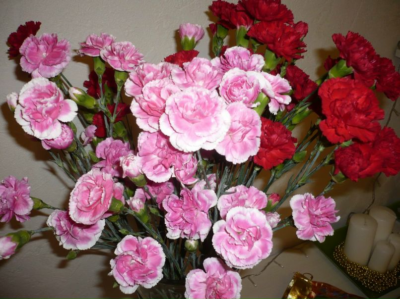 Ксения Ятина | Иркутск