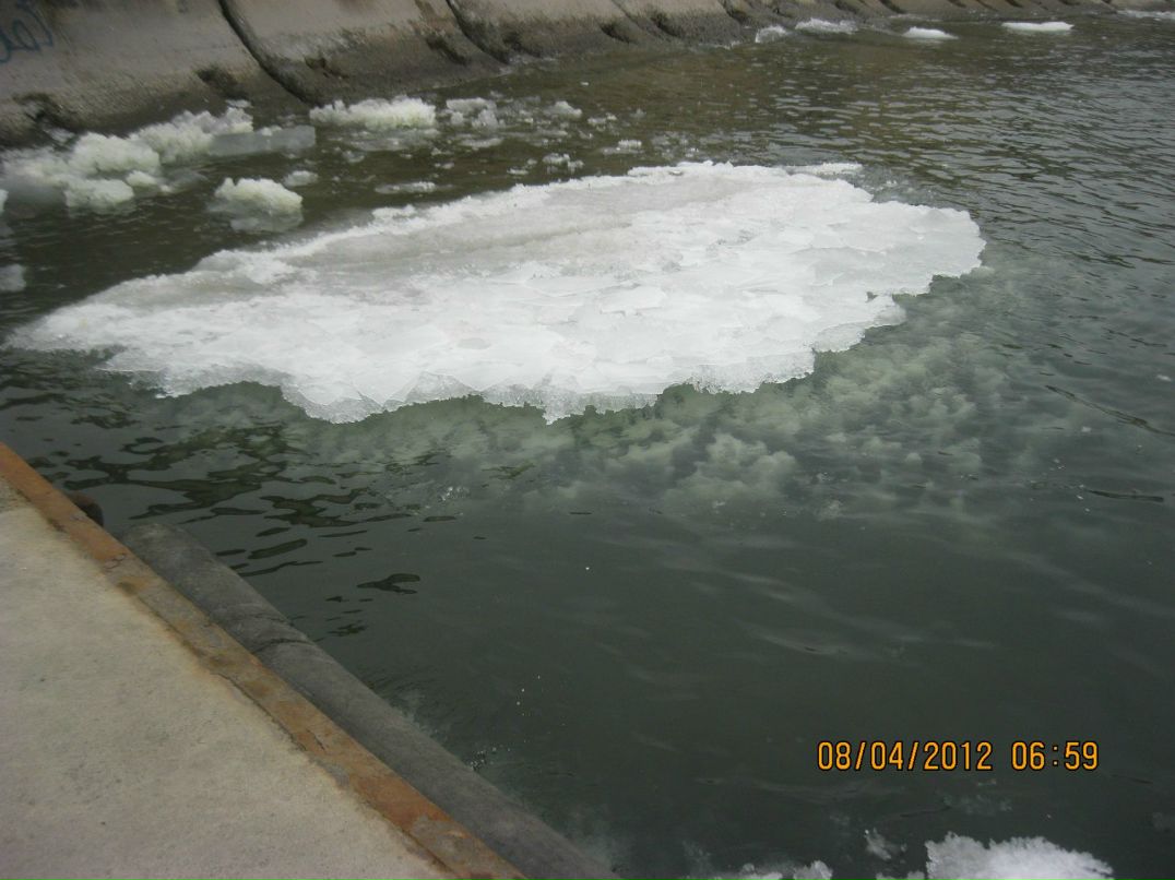 Илья Балобин | Воронеж