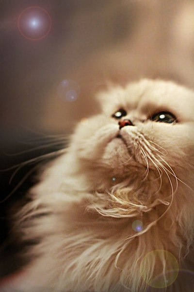 Ганна Васильева | Москва