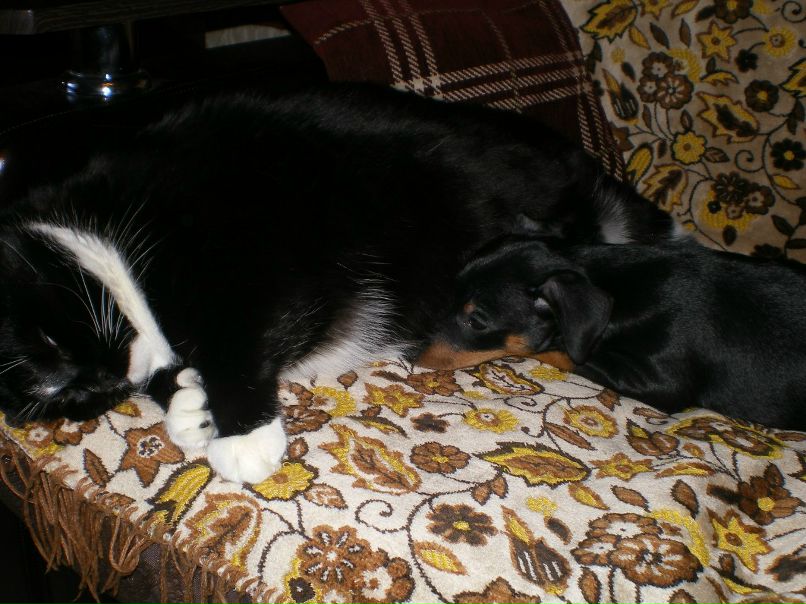 Михаил Гармаш | Санкт-Петербург