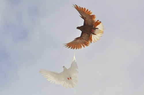 Darya Katina | Москва