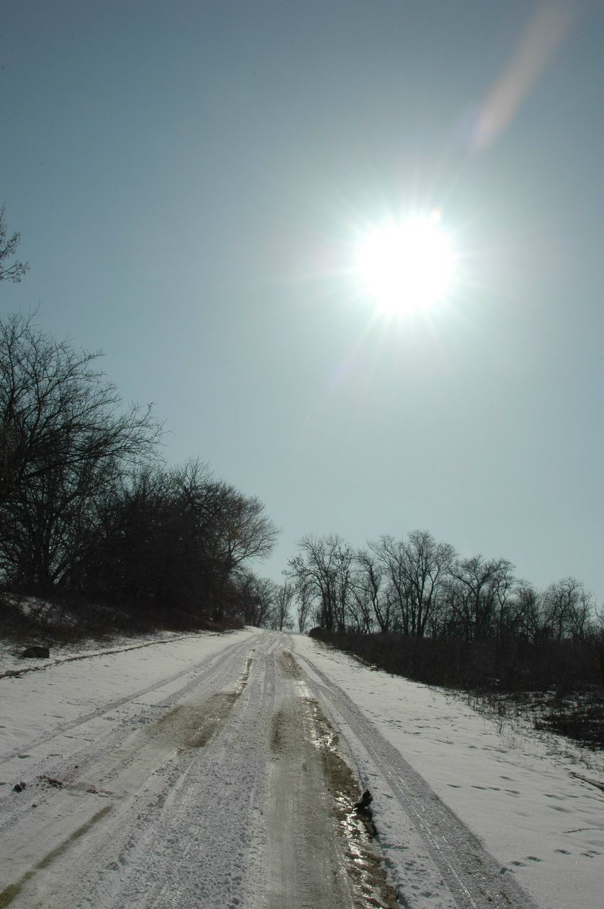 Наталья Васильева | Запорожье