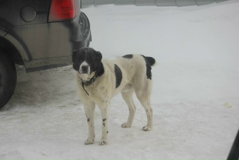 Кирилл Кузнецов Николаевич | Ноябрьск