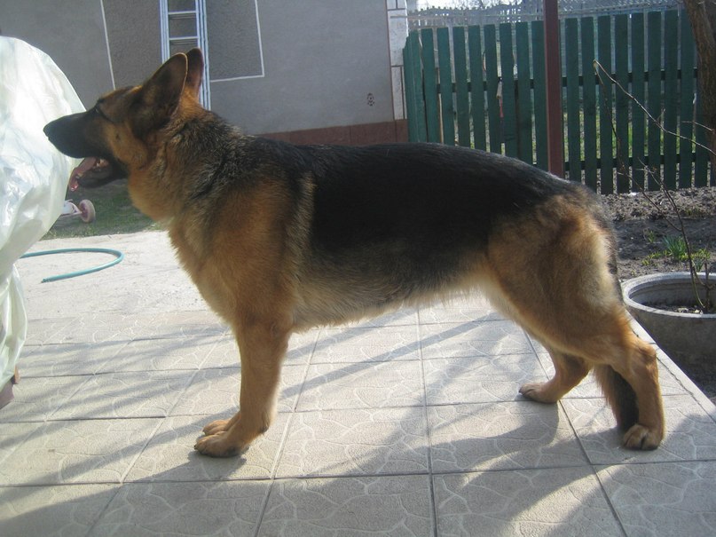 Лида Олейник | Киев