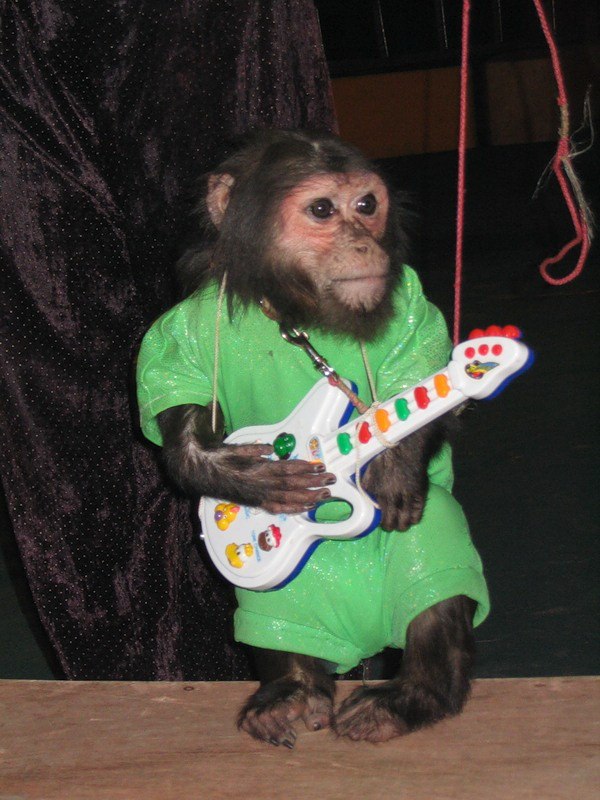 Анастасия Лосенкова | 