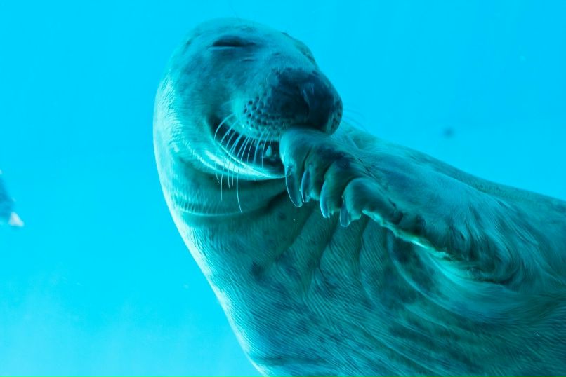 Іван Іванов | 