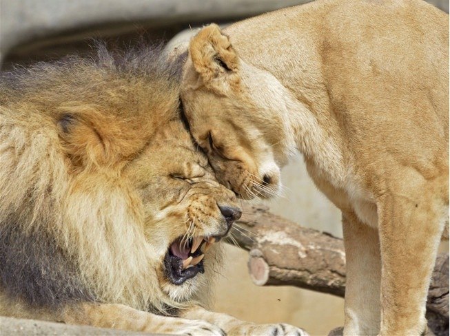 Яна Новикова | Шахты