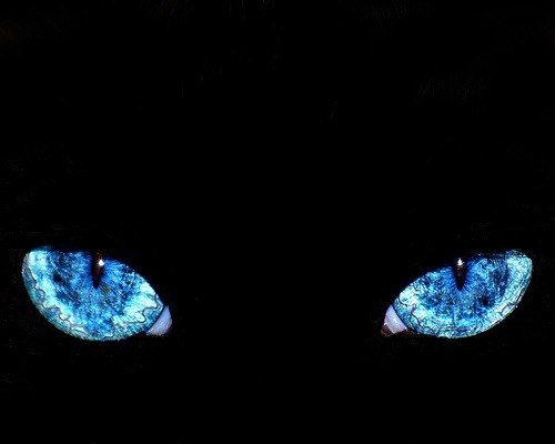 Ксения Борисова(Воробьева) | Санкт-Петербург