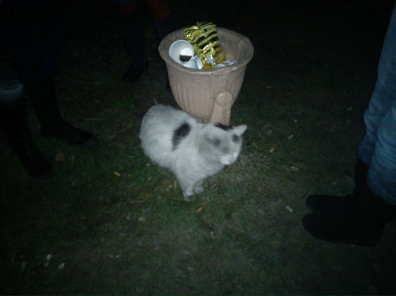 Анна Гарденина | Минск