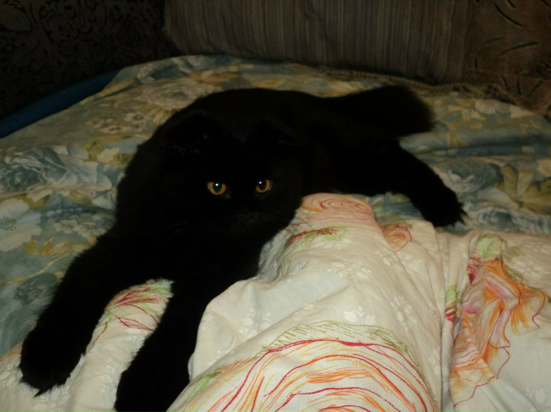 Светлана Юсова | Тверь