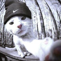 Дима Котов