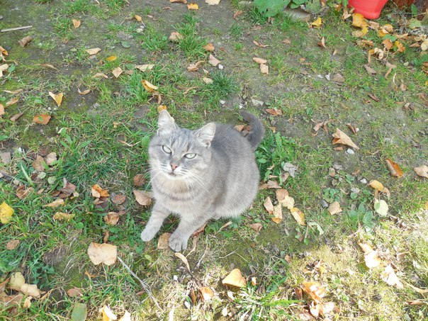 Дима Умников, Россия, Москва