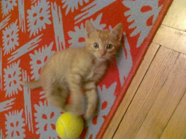 №79, Артем Шагинян, 46 лет, Оренбург, Россия №79, Артем Шагинян, 46 лет, Оренбург, Россия