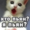 Аватар: Sergei Shmarkatyuk