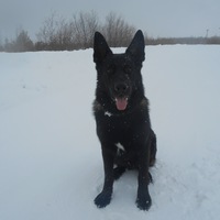 Сергей Викторович