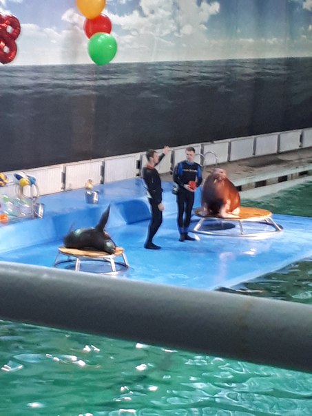 Людмила Серикова, Россия, Санкт-Петербург