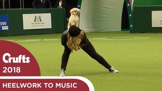 Freestyle Heelwork to Music Competition - Part 2 | Crufts 2018