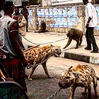 Люда Семенова