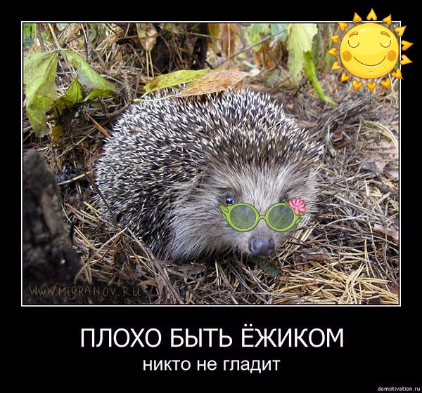 Денис Куликов, Россия, Москва