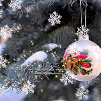 Елена Сергеева