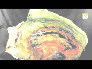 `КНИГА ОТКРОВЕНИЯ` (часть 2) ~ ТОЛКОВАНИЕ АЛЕКСА БЛЕНДА
