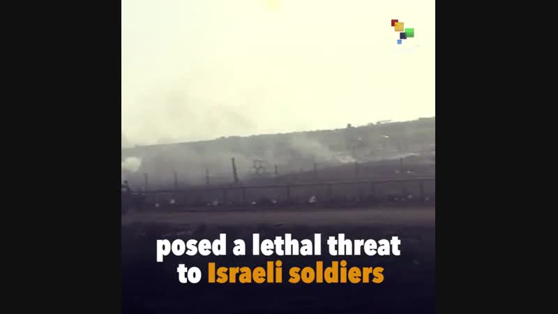 Independent investigation recognises that the protesters killed at the, Gaza border were unarmed.