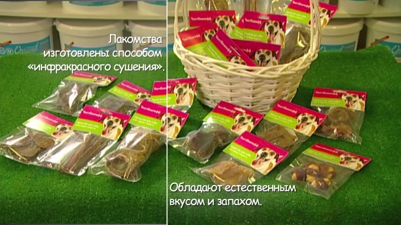 Корм Крым Интернет Магазин Севастополь